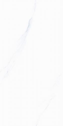 SJ84A666-2