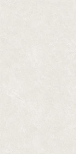 48SJ009-2
