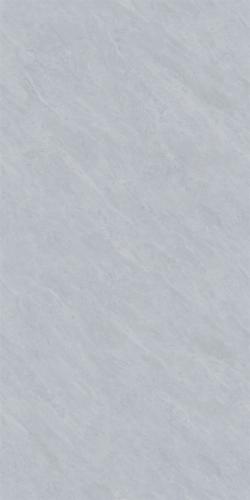 48SJ820-2